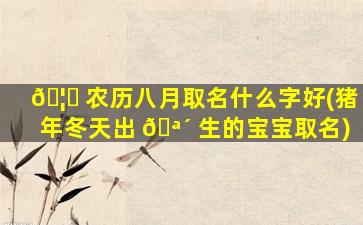 🦉 农历八月取名什么字好(猪年冬天出 🪴 生的宝宝取名)